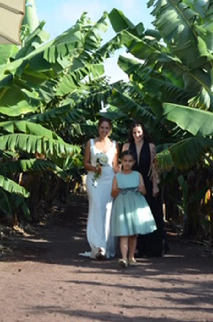 Celebración boda finca platanera - Welooveyou