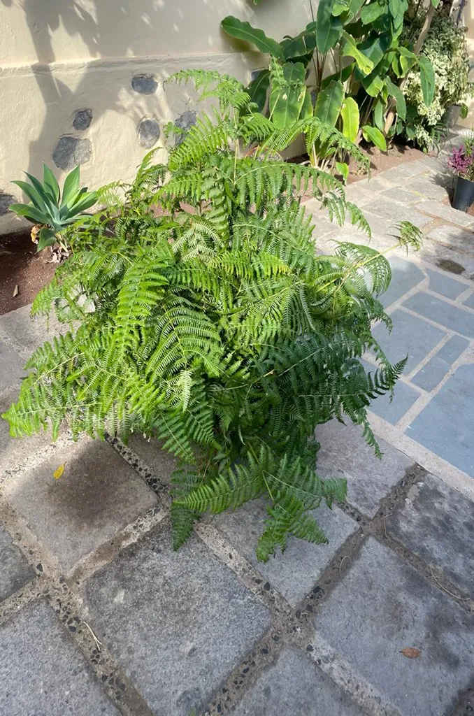 Decoración flores - Welooveyou