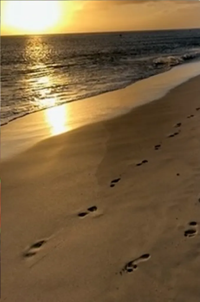 El viaje de tu vida Welooveyou - Playa